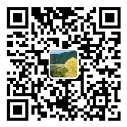 口袋牛店app店安装